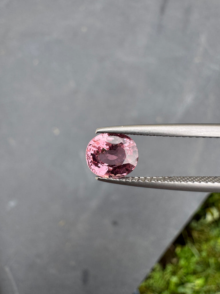 Live058 - Saphir 1,54ct NH