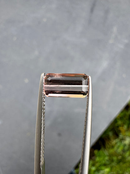 Tourmaline bicolore • 1,75ct