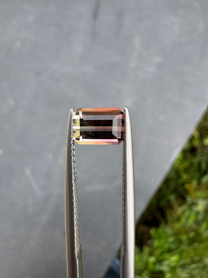 Tourmaline bicolore • 1,26ct