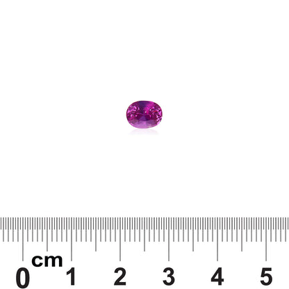 Une pierre précieuse Saphir Rose de 1,5 carat de Bonnot Paris, de petite taille et de forme ovale avec une teinte rose, est présentée au-dessus d'une règle qui mesure de 0 à 6 cm en centimètres, fournissant une échelle pour sa taille.