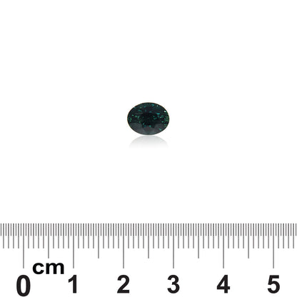 Un Saphir Teal de 2,04 carats de Bonnot Paris, une petite pierre ovale foncée de Madagascar, est placé sur un fond blanc au-dessus d'une règle. La pierre élégante, légèrement réfléchissante, est centrée sur l'image, mettant en valeur sa taille par rapport à l'échelle centimétrique de la règle.