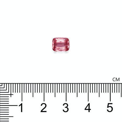 Un Saphir Padparadscha de 2,02 carats de Bonnot Paris, petit et rectangulaire, est placé au-dessus d'une règle noire et blanche graduée jusqu'à 6 cm, paraissant large d'environ 0,5 cm.