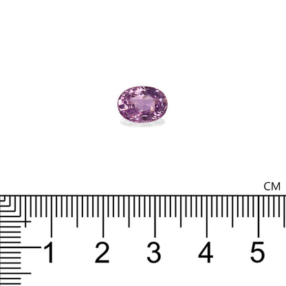 Une petite pierre précieuse rose ovale, le Saphir Violet (3,55 ct) de Bonnot Paris, est sertie sur un fond blanc avec une règle métrique en dessous en centimètres pour mettre en évidence sa taille.
