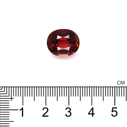 Une pierre précieuse Tourmaline Pourpre facettée de 7,68 ct de Bonnot Paris est présentée sur une surface blanche avec une règle centimétrique pour échelle, mesurant un peu plus de 1 cm de longueur et présentant une forme ovale en rouge.