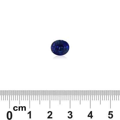 Le Saphir Bleu, un saphir bleu ovale de 3,52 carats de Bonnot Paris, est présenté sur un fond blanc à côté d'une règle en centimètres pour indiquer sa taille.