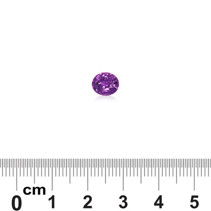 Une petite pierre précieuse ronde Saphir Violet de 1,61 carat de Bonnot Paris est posée sur un fond blanc. En dessous, une règle graduée en centimètres indique que la pierre mesure environ 0,6 cm de diamètre.