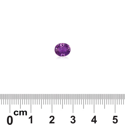 La pierre précieuse Saphir Violet de 1,51 ct de Bonnot Paris, de forme ovale et violette, est présentée sur un fond blanc uni au-dessus d'une règle métrique pour l'échelle en centimètres, mettant en valeur sa surface polie qui reflète la lumière.