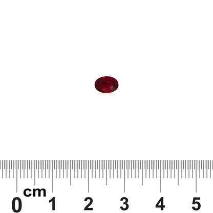 Une pierre précieuse Rubis du Mozambique de 1,01 ct de Bonnot Paris, de forme ovale et petite, repose sur un fond blanc avec une règle indiquant une échelle en centimètres pour référence de taille.