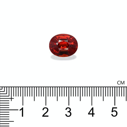 Un Grenat Spessartite de 7,76 ct de Bonnot Paris, présentant de riches teintes rouges, est positionné au-dessus d'une règle centimétrique et semble mesurer environ 1,5 cm de longueur.