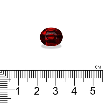 Une pierre précieuse Grenat Spessartite rouge foncé pesant 6,4 ct de Bonnot Paris est présentée sur un fond blanc au-dessus d'une règle noire mesurant environ 0,9 cm de largeur.