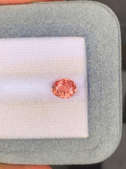 saphir Padparadscha de Madagascar