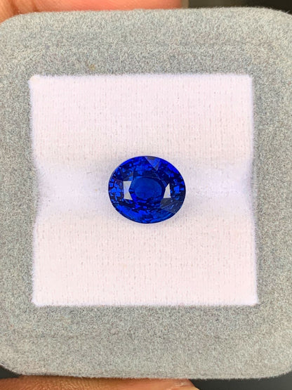 Un Saphir Bleu éclatant de 7,30 carats du Sri Lanka signé Bonnot Paris est présenté sur un coussin gris clair. La pierre taille ronde reflète la lumière, révélant ses teintes bleu profond. Le coussin est tenu entre les doigts pour souligner sa taille impressionnante.