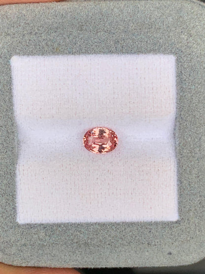 Une petite pierre précieuse rose ovale de 1,02 ct de Madagascar, rappelant le rare Saphir Padparadscha de [NOUVEAU] Bonnot Paris, est présentée sur une surface coussinée blanche à l'intérieur d'un boîtier gris.
