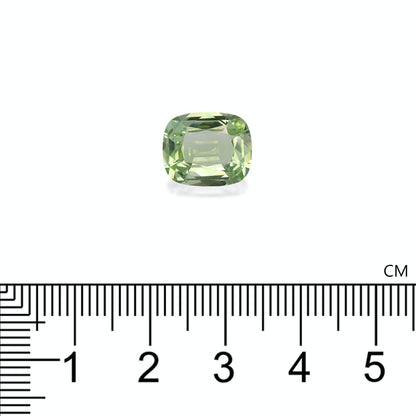 Une Tourmaline Verte de 4,57 carats de Bonnot Paris, taille coussin et verte, est sertie sur un fond blanc avec une règle en dessous marquée en centimètres, indiquant la largeur de la pierre à environ 1 cm.
