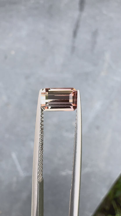 Tourmaline bicolore • 1,61ct