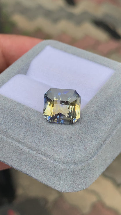 Saphir Bicolore • 10ct