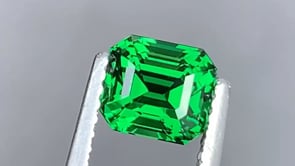 Tsavorite • 1,6ct