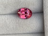 Saphir Padparadscha • 2,51ct