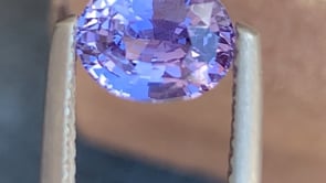 Saphir Violet • 1,56ct