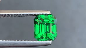 Tsavorite • 2,01ct