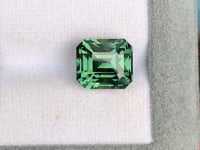 Saphir vert • 10,55ct