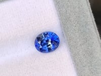 Saphir bicolore • 2,10ct