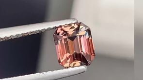 Saphir bicolore • 1,68ct