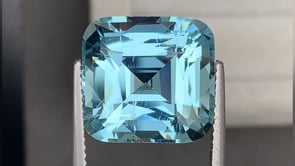 Aigue-Marine • 12,58ct