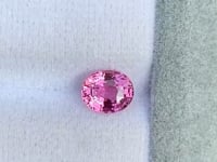 Saphir rose • 1,55ct