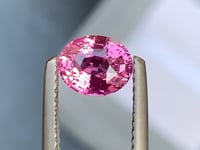 Saphir rose • 1,55ct