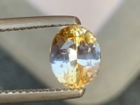 Saphir bicolore • 1,75ct