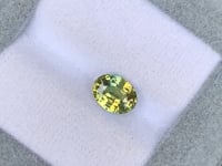 Saphir bicolore • 2,03ct