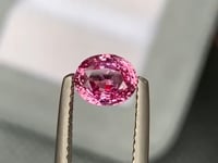 Saphir Padparadscha • 1,50ct