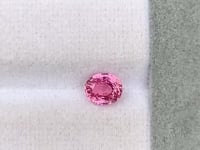 Saphir Padparadscha • 1,50ct