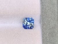 Saphir bicolore • 2,05ct