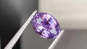 Saphir violet • 1,53ct