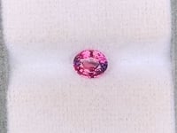 Saphir bicolore • 1,06ct