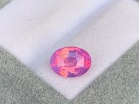 Saphir bicolore • 2,50ct