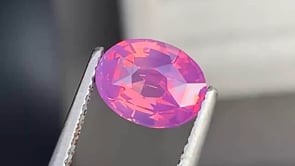 Saphir bicolore • 2,50ct