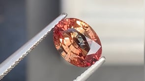 Saphir bicolore • 2,55ct