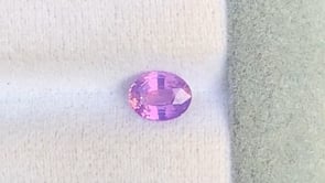 Saphir bicolore • 1,05ct