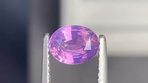 Saphir bicolore • 1,05ct