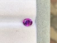 Saphir bicolore • 1,52ct