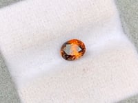 Saphir bicolore • 1,13ct