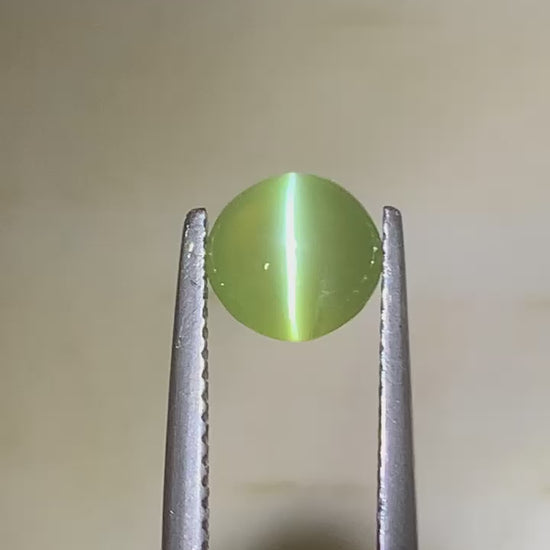 Apple green cat's eye round 2,27ct