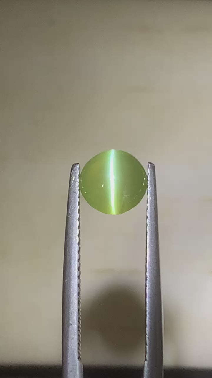 Apple green cat's eye round 2,27ct