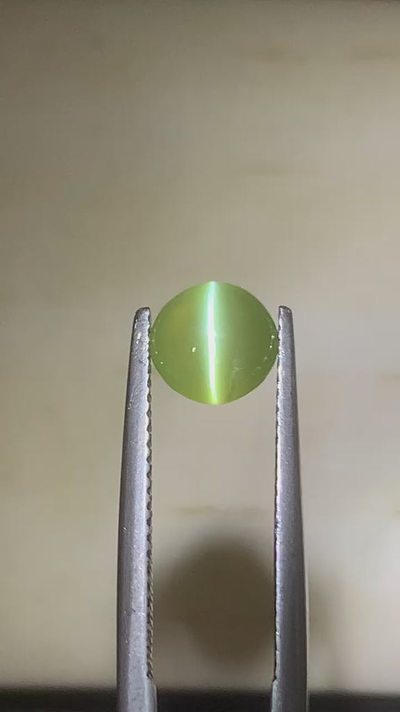 Apple green cat's eye round 2,27ct