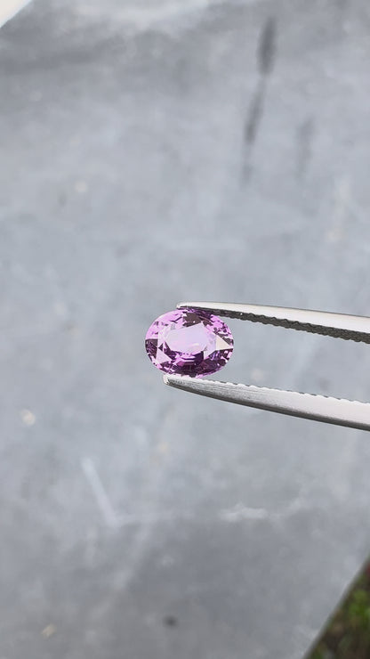 Saphir violet • 1,05ct