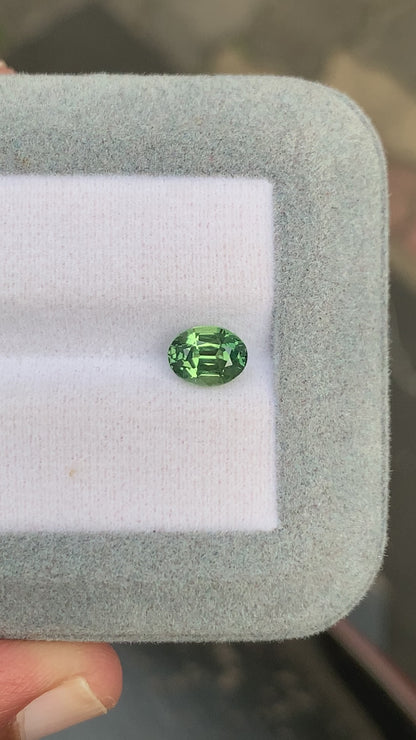 Saphir vert • 1,55ct