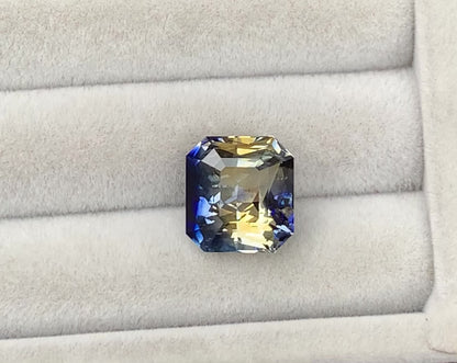 Saphir Bicolore • 10ct
